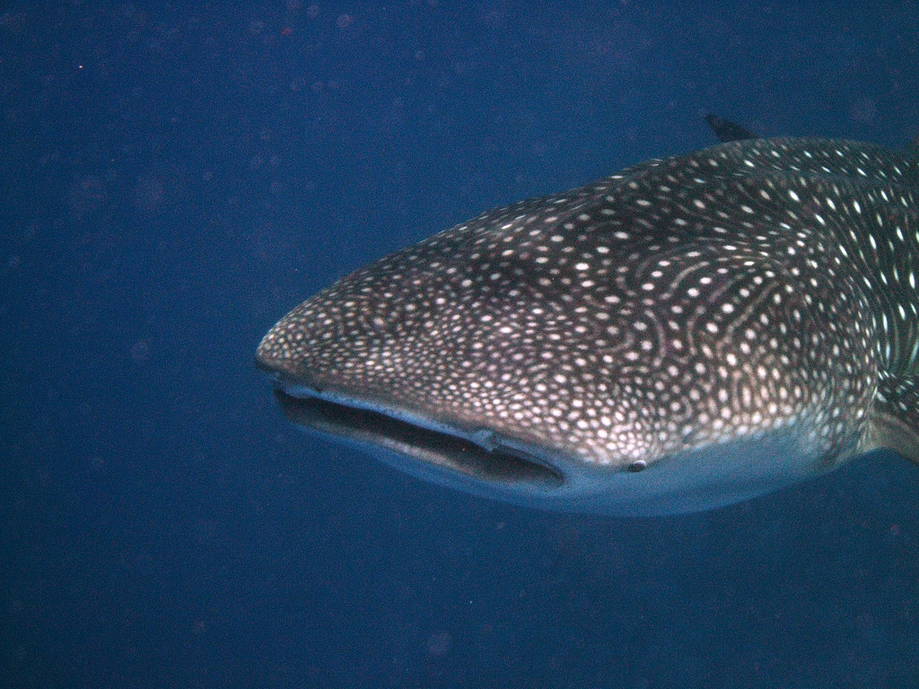 Slide 3